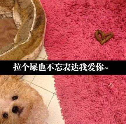 妹子,你知道你这个动作会让后面多少的狗男人想入非非吗?哈哈哈 妹子,你知道你这个动作会让后面多少的狗男人想入非非吗?哈哈哈