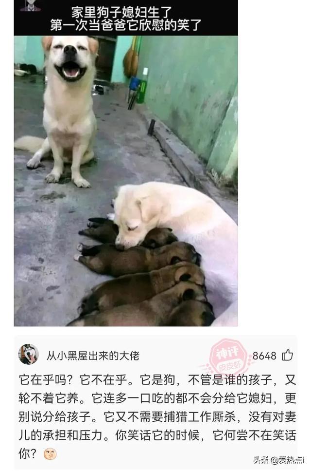 神评:女儿糊涂啊!你不能为了面子不要钱啊!哈哈 神评:女儿糊涂啊!你不能为了面子不要钱啊!哈哈