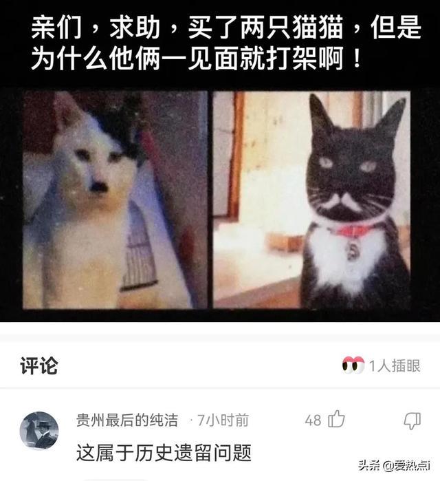 神评:女儿糊涂啊!你不能为了面子不要钱啊!哈哈 神评:女儿糊涂啊!你不能为了面子不要钱啊!哈哈