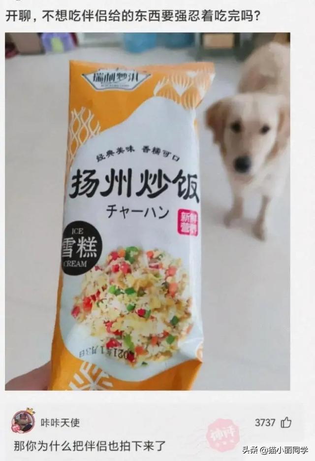 中国什么组织,存在了几千年?评论区秀到我了!哇哈哈哈哈哈 中国什么组织,存在了几千年?评论区秀到我了!哇哈哈哈哈哈