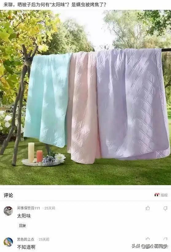 中国什么组织,存在了几千年?评论区秀到我了!哇哈哈哈哈哈 中国什么组织,存在了几千年?评论区秀到我了!哇哈哈哈哈哈