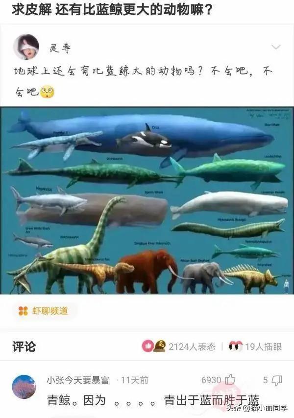 中国什么组织,存在了几千年?评论区秀到我了!哇哈哈哈哈哈 中国什么组织,存在了几千年?评论区秀到我了!哇哈哈哈哈哈