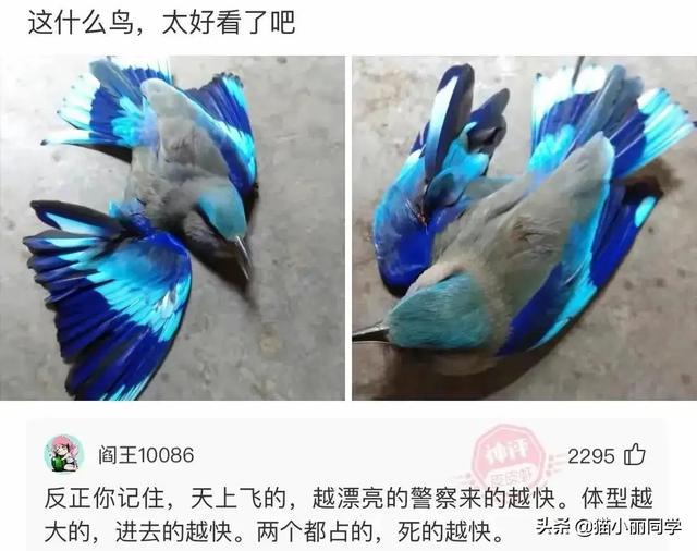 中国什么组织,存在了几千年?评论区秀到我了!哇哈哈哈哈哈 中国什么组织,存在了几千年?评论区秀到我了!哇哈哈哈哈哈
