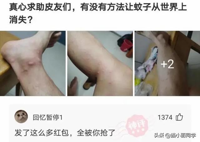 中国什么组织,存在了几千年?评论区秀到我了!哇哈哈哈哈哈 中国什么组织,存在了几千年?评论区秀到我了!哇哈哈哈哈哈
