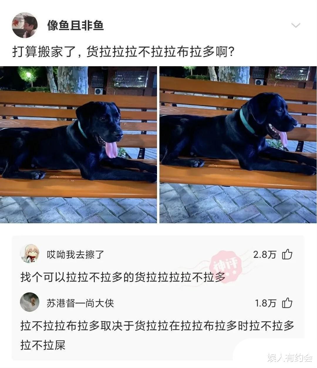 神回复：娶同学为妻是什么体验？神评说的好真实，感同身受啊