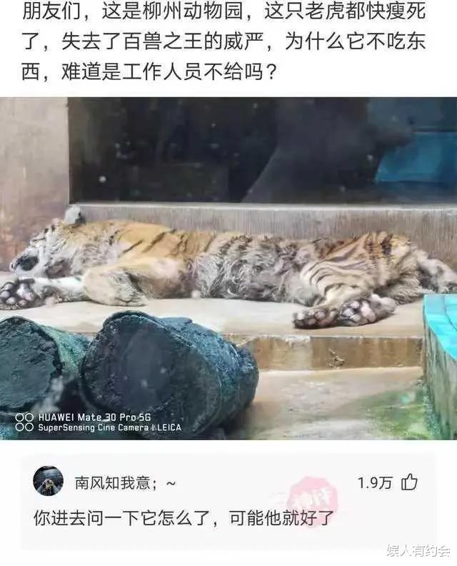 神回复：娶同学为妻是什么体验？神评说的好真实，感同身受啊