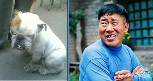 动物也玩内涵的东西,你看看。