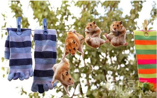 兄弟,我要掉下去了,拉我一把! 兄弟,我要掉下去了,拉我一把!