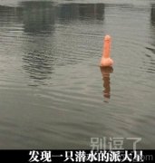 发现一只潜水派大星！！