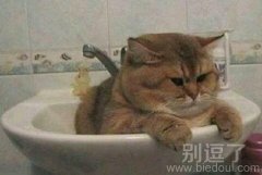 只看到脸了。。。。 只看到脸了。。。。