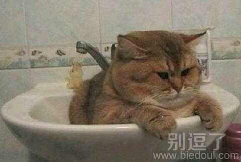 只看到脸了。。。。