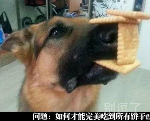 如何才能吃到所有的饼干?? 如何才能吃到所有的饼干??