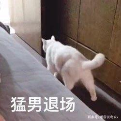 轻松一刻:“世界首负”欠债999亿,这瓜保熟吗? 轻松一刻:“世界首负”欠债999亿,这瓜保熟吗?