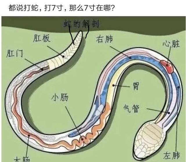 “外面这么大的风，沙雕女友出门非要穿裙子，现在后悔了吧！”哈哈哈哈