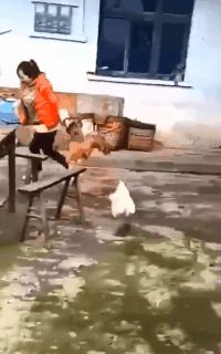 从老婆包里翻出来的,亲朋好友都劝我赶紧离婚,这个有什么用呢? 从老婆包里翻出来的,亲朋好友都劝我赶紧离婚,这个有什么用呢?