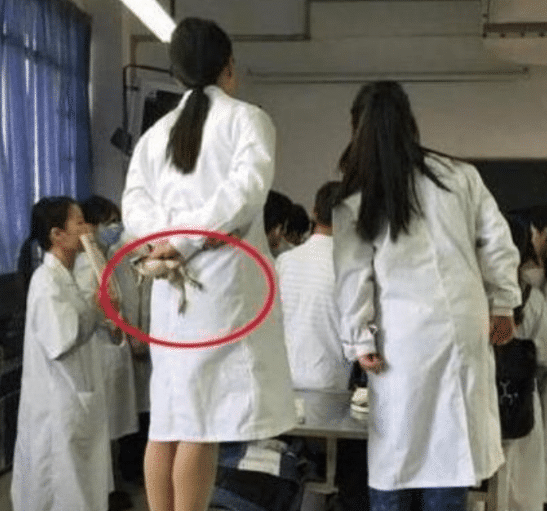 “终于明白为啥不能娶护士回家了,就怕婚后生活不如意”哈哈哈 “终于明白为啥不能娶护士回家了,就怕婚后生活不如意”哈哈哈