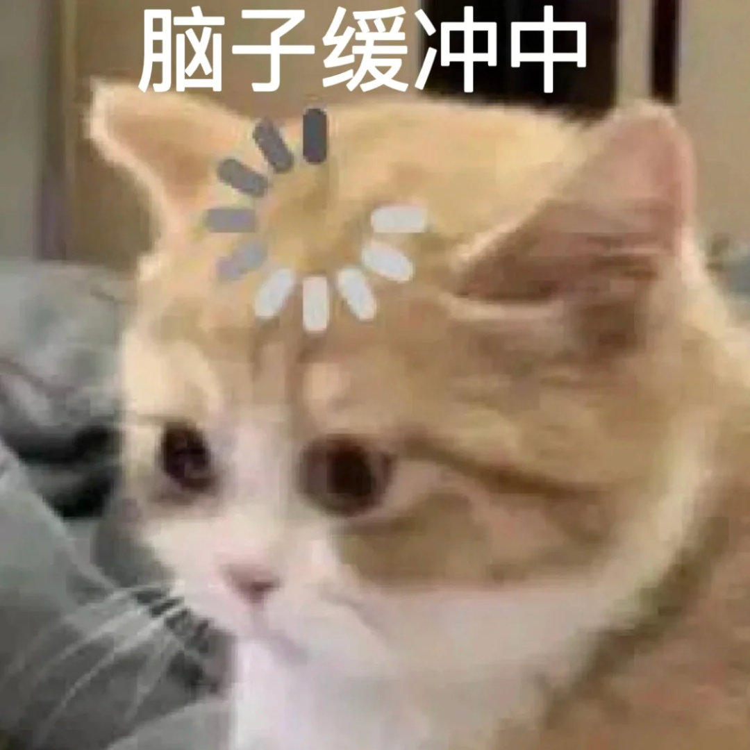 脑子缓冲中(猫猫表情包)