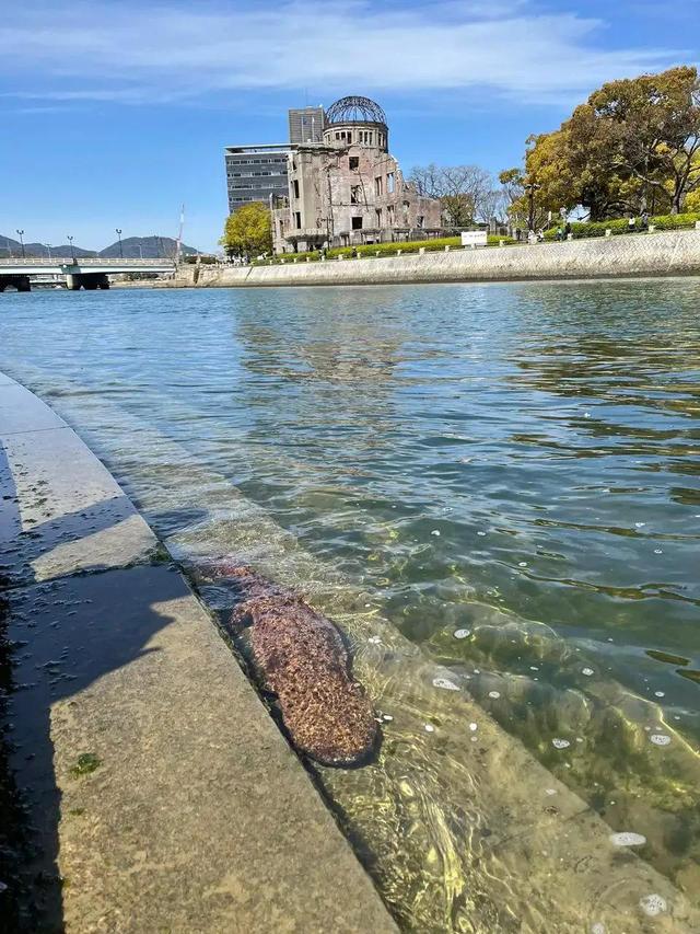 一起来神回复:全世界都在学中国话,我为什么要选择外语 一起来神回复:全世界都在学中国话,我为什么要选择外语