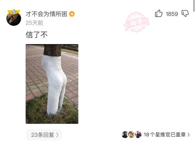 一起来神回复:全世界都在学中国话,我为什么要选择外语 一起来神回复:全世界都在学中国话,我为什么要选择外语