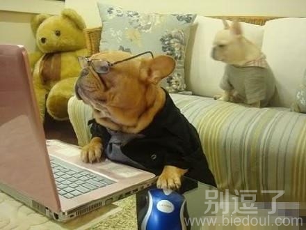 我可是受过专业培训的