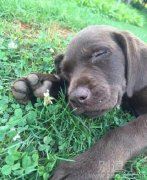 热死了先睡会 热死了先睡会