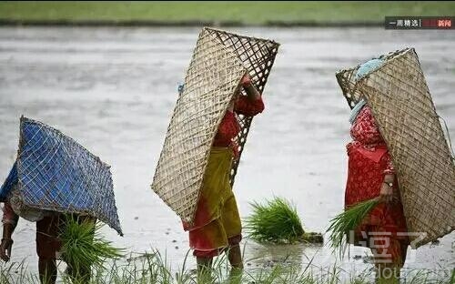 尼泊尔的勤劳传统