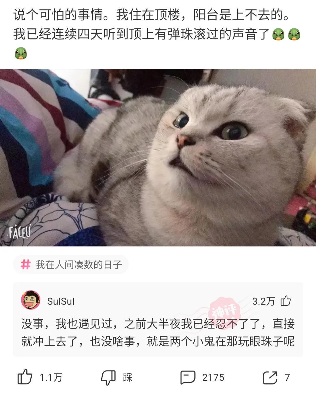 神回复:弟弟偷偷搜索这些东西,我该怎么办?此弟不宜久留啊 神回复:弟弟偷偷搜索这些东西,我该怎么办?此弟不宜久留啊