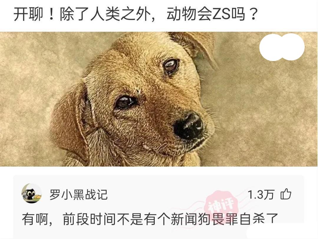 神回复：弟弟偷偷搜索这些东西，我该怎么办？此弟不宜久留啊