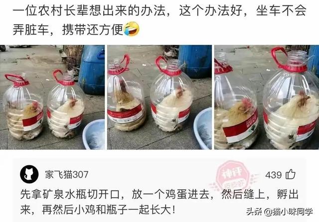 神回复:如果景甜做你一天女朋友,你会让她干什么?被神评笑抽了 神回复:如果景甜做你一天女朋友,你会让她干什么?被神评笑抽了