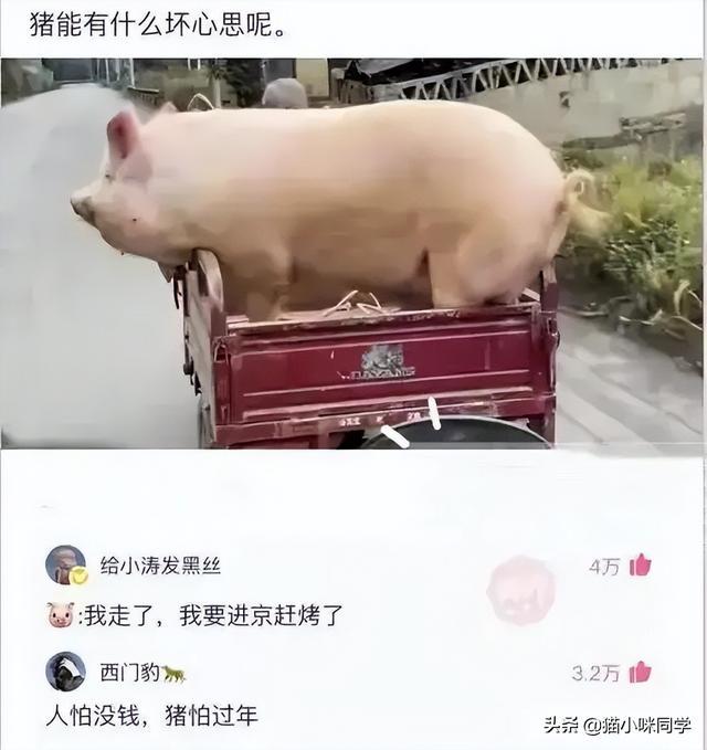 神回复:如果景甜做你一天女朋友,你会让她干什么?被神评笑抽了 神回复:如果景甜做你一天女朋友,你会让她干什么?被神评笑抽了