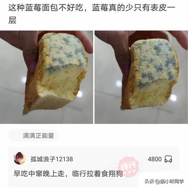 神回复:如果景甜做你一天女朋友,你会让她干什么?被神评笑抽了 神回复:如果景甜做你一天女朋友,你会让她干什么?被神评笑抽了