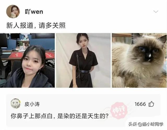 神回复:如果景甜做你一天女朋友,你会让她干什么?被神评笑抽了 神回复:如果景甜做你一天女朋友,你会让她干什么?被神评笑抽了