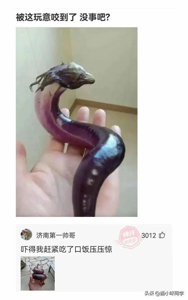 神回复:如果景甜做你一天女朋友,你会让她干什么?被神评笑抽了 神回复:如果景甜做你一天女朋友,你会让她干什么?被神评笑抽了
