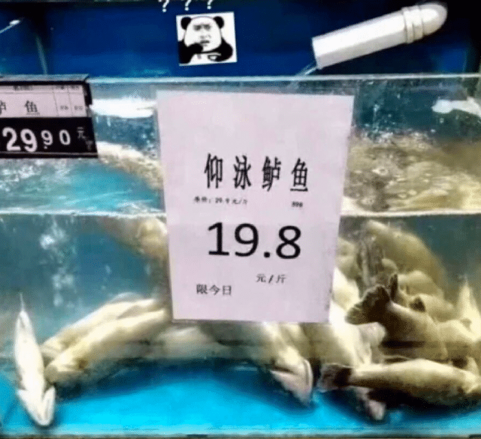 “我已经大二了,还有救吗?”哇哈哈哈哈...买搓衣板的钱都省了! “我已经大二了,还有救吗?”哇哈哈哈哈...买搓衣板的钱都省了!