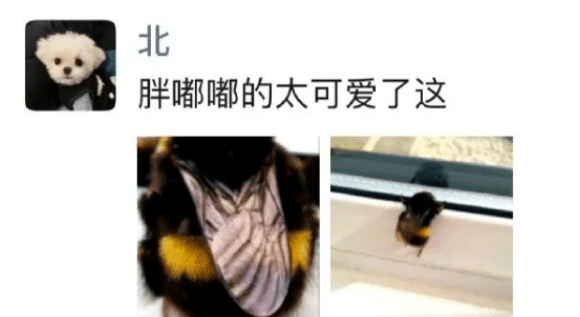 妹子你这就一根绳子,不要拉了,我在后面都不好意思看了!哈哈哈哈 妹子你这就一根绳子,不要拉了,我在后面都不好意思看了!哈哈哈哈