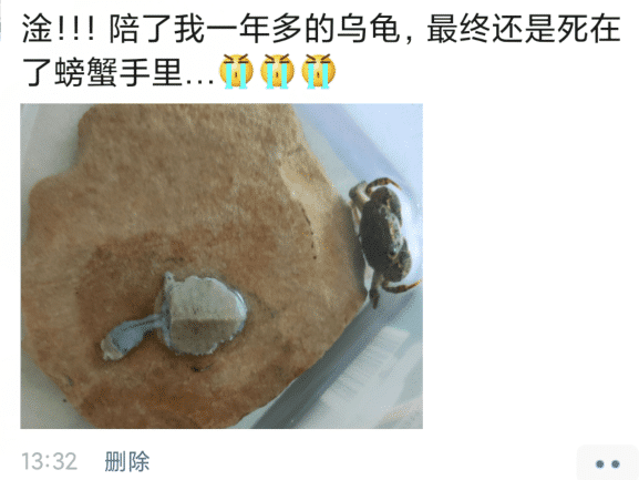 “妹子你这就一根绳子,不要拉了,我在后面都不好意思看了!”哇哈哈哈 “妹子你这就一根绳子,不要拉了,我在后面都不好意思看了!”哇哈哈哈