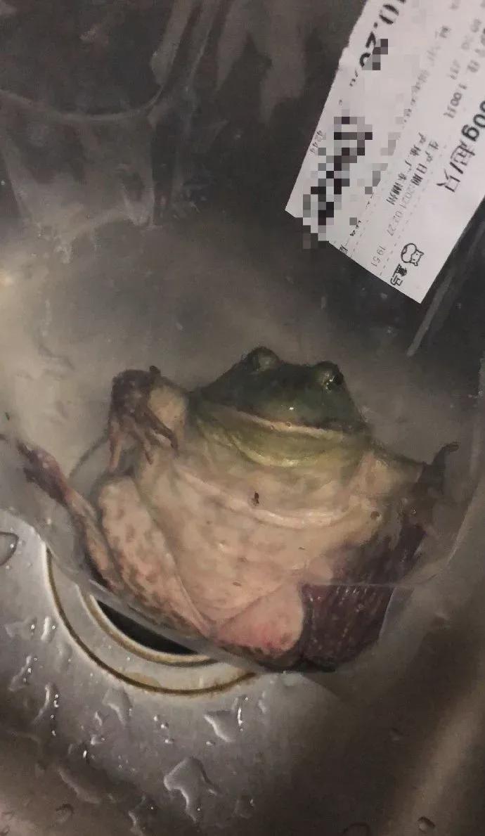 “啥时候才能睡你,晚上来玩我吧…”网友聊骚记录流出,这是什么虎狼之词啊! “啥时候才能睡你,晚上来玩我吧…”网友聊骚记录流出,这是什么虎狼之词啊!