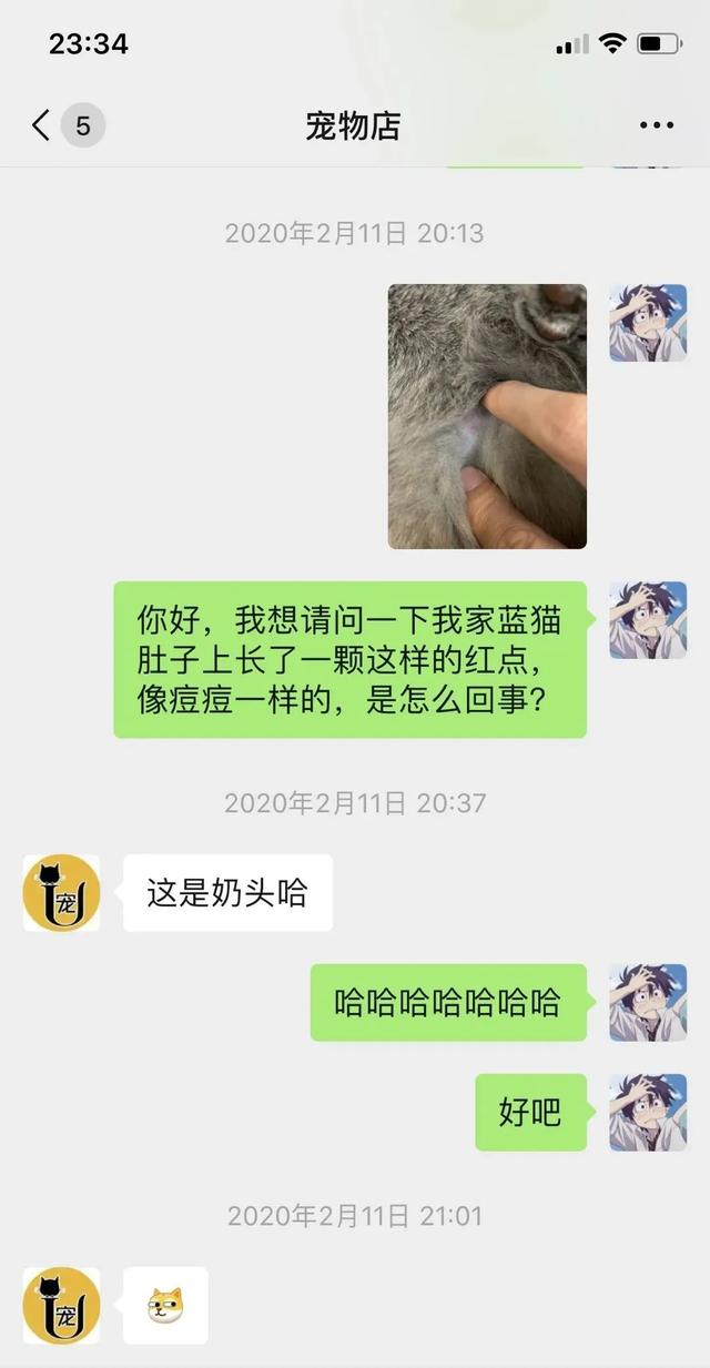 “我们是假货！求求你别买了，”哈哈哈，快被客服笑死了