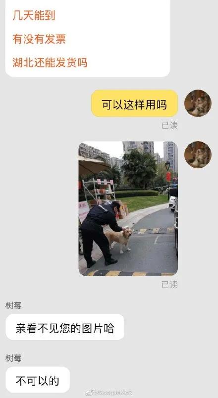 “我们是假货！求求你别买了，”哈哈哈，快被客服笑死了