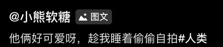 知道后宫侍寝戏是怎么拍的吗?再如狼似虎的男人都扛不住啊..