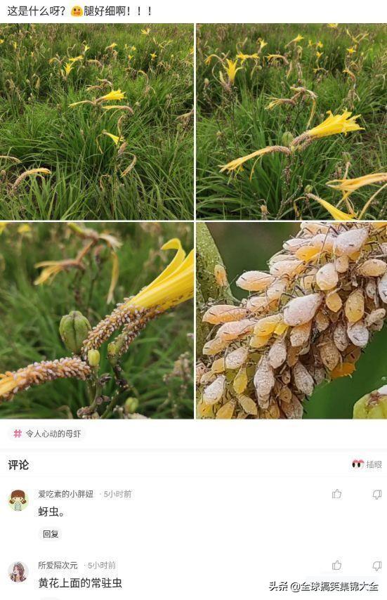 神回复:原来打马赛克也分颜值,对女孩子不友好啊 神回复:原来打马赛克也分颜值,对女孩子不友好啊