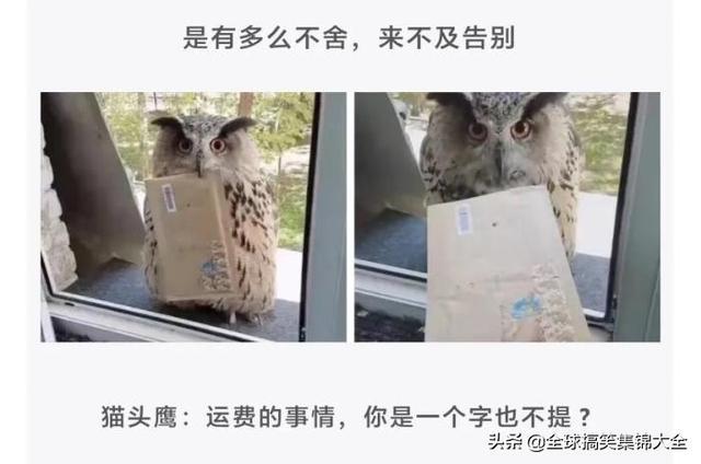神回复:原来打马赛克也分颜值,对女孩子不友好啊 神回复:原来打马赛克也分颜值,对女孩子不友好啊