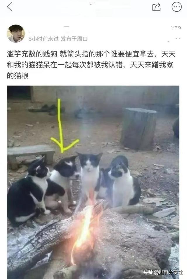 第一次坐车,发现副驾驶上有个东西,这是什么?踩下去应该没事吧 第一次坐车,发现副驾驶上有个东西,这是什么?踩下去应该没事吧
