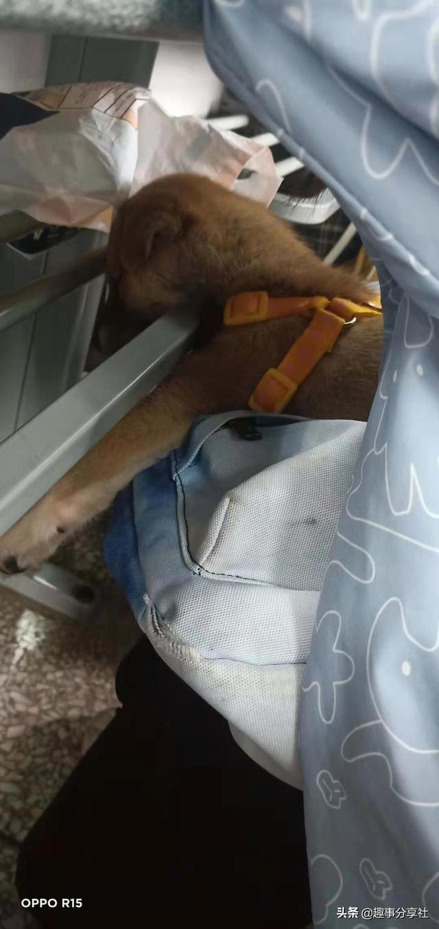 第一次坐车,发现副驾驶上有个东西,这是什么?踩下去应该没事吧 第一次坐车,发现副驾驶上有个东西,这是什么?踩下去应该没事吧
