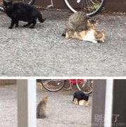 伸头一看，顿时羞得跑开了