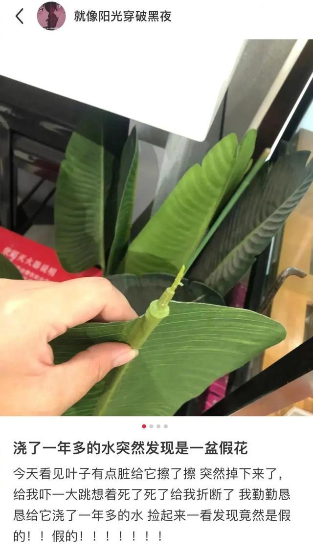 今日笑话:热情的同事差点把我送走 今日笑话:热情的同事差点把我送走