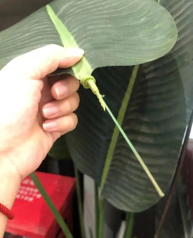今日笑话:热情的同事差点把我送走 今日笑话:热情的同事差点把我送走