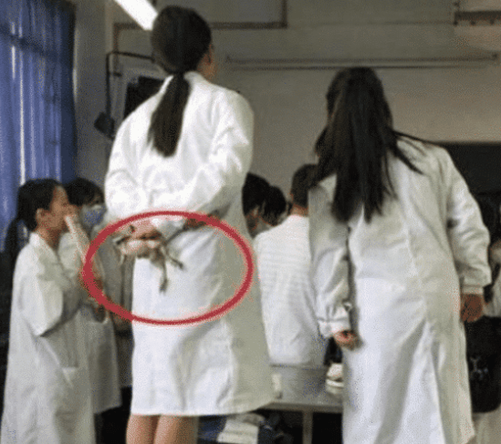 “兄弟媳妇是真的漂亮啊,谁敢娶回家去?”真有点担心!哈哈哈哈哈 “兄弟媳妇是真的漂亮啊,谁敢娶回家去?”真有点担心!哈哈哈哈哈