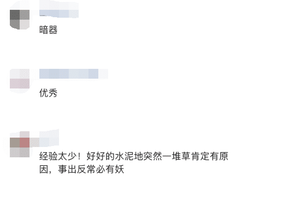 “遇到草堆不要压,可能是个伏地魔!”评论区优秀了!哈哈哈 “遇到草堆不要压,可能是个伏地魔!”评论区优秀了!哈哈哈