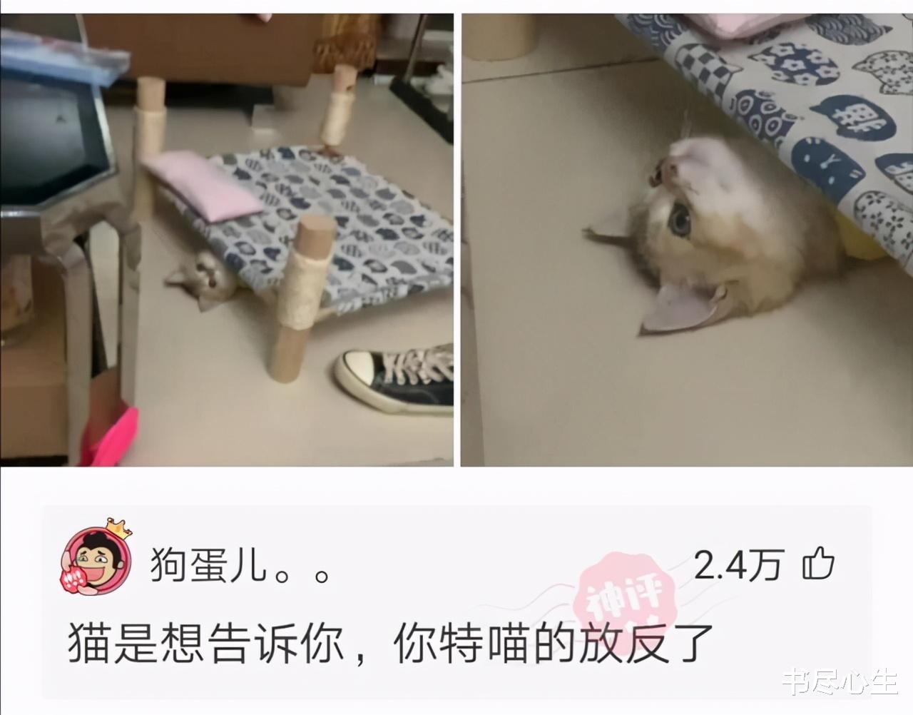 神回复:这个男人睡我的床还搂着我的媳妇,我该怎么办? 神回复:这个男人睡我的床还搂着我的媳妇,我该怎么办?
